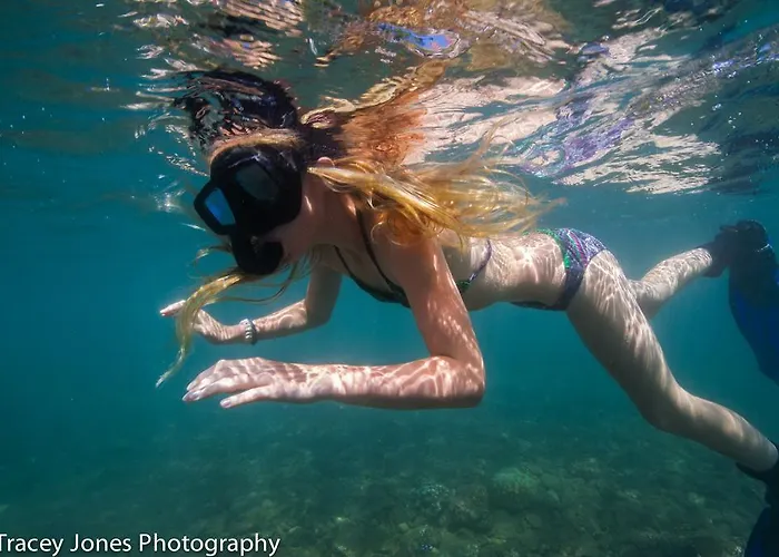Bali Reef Divers